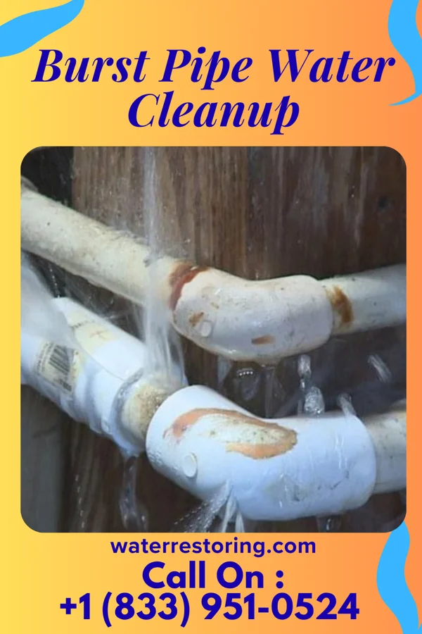 Burst Pipe Water Cleanup in Valatie, NY