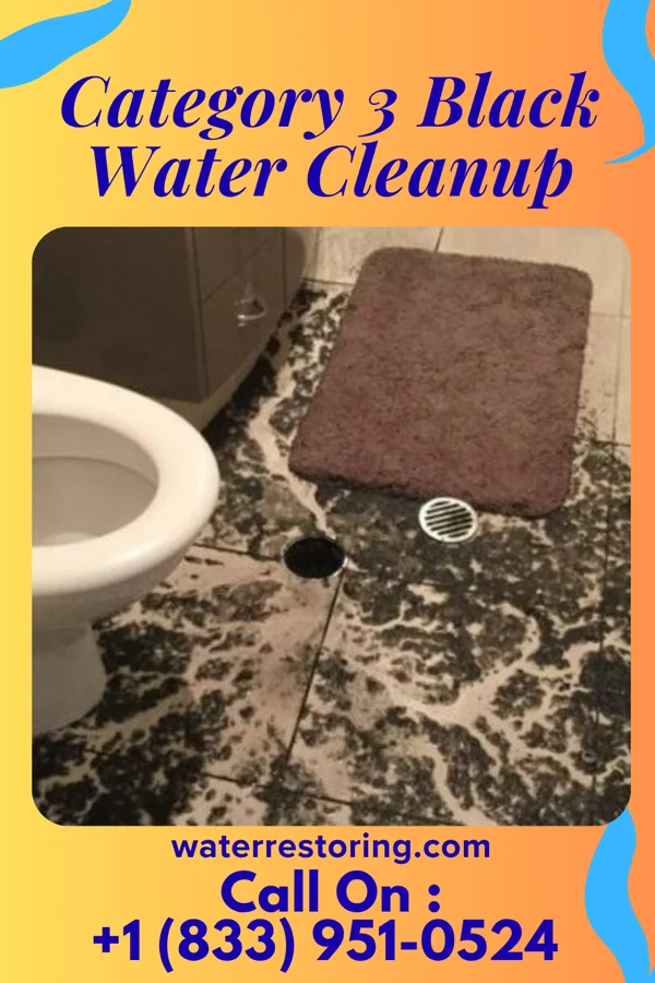 Category 3 Black Water Cleanup in Valatie, NY