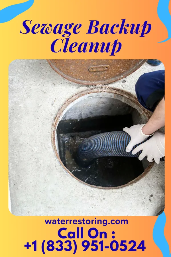 Sewage Backup Cleanup in Valatie, NY