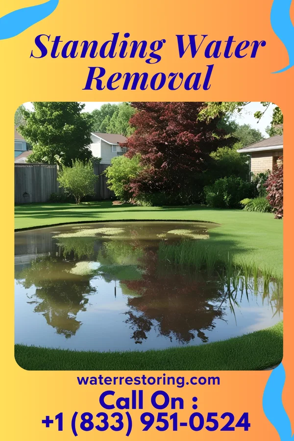 Standing Water Removal in Valatie, NY